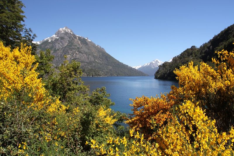 Bariloche Lakeside Views