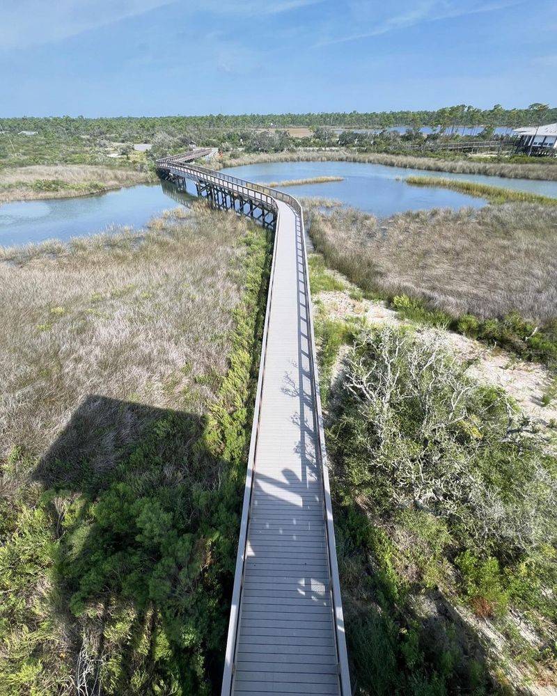 Big Lagoon State Park: Gateway to Florida's Wildest Coast