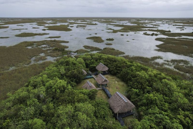 The Everglades, USA