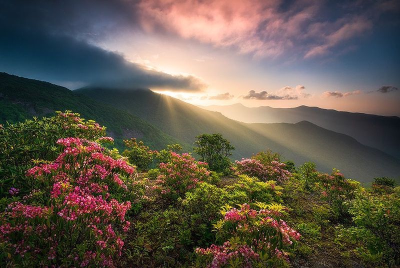 Blue Ridge Parkway Overlooks