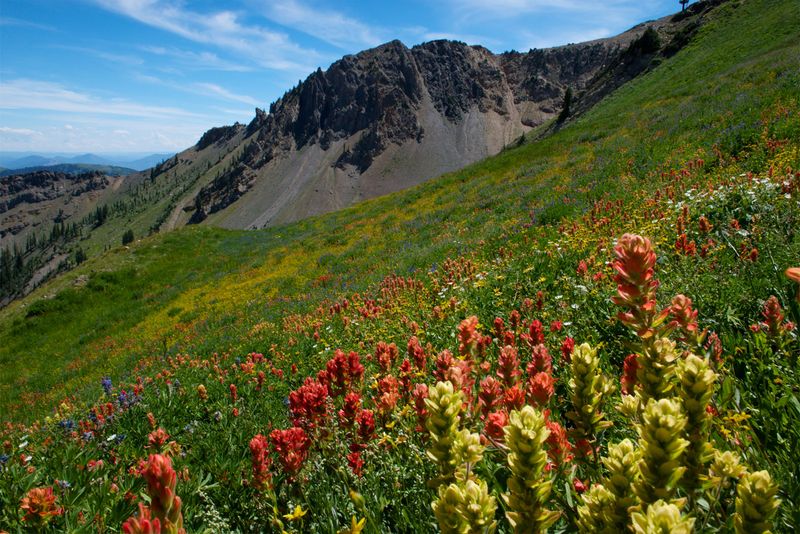 Big Cottonwood Canyon