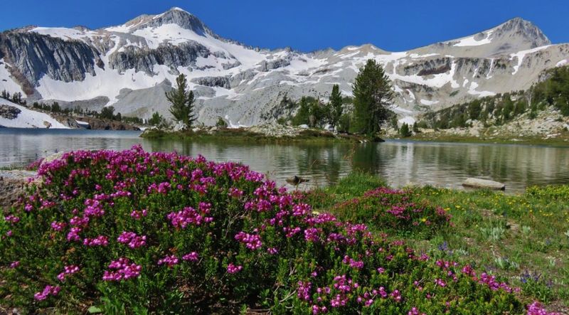 Wallowa–Whitman Forest