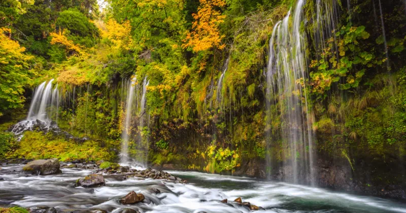 Dunsmuir Waterfall Trails