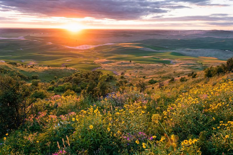 Palouse Region, Washington