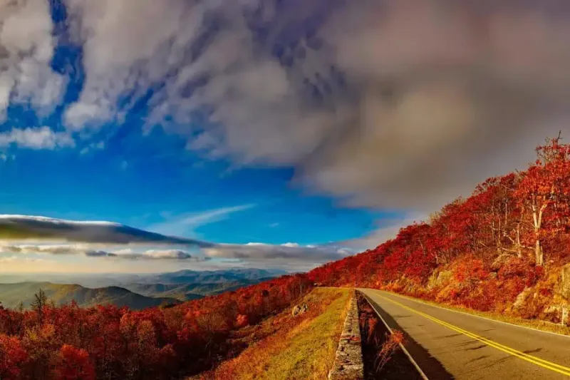 Baltimore Ravens – Shenandoah National Park, VA