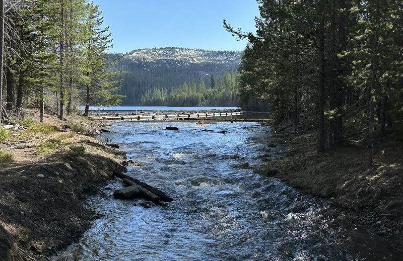 Explore the Umatilla Riverwalk Trail