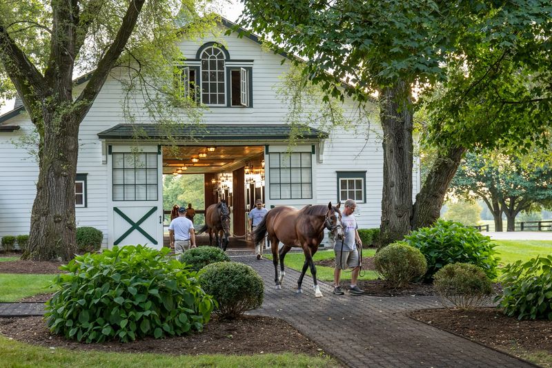 Lexington Horse Country
