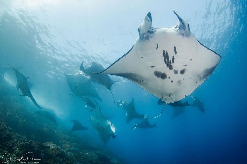 Indonesia's Island Paradise
