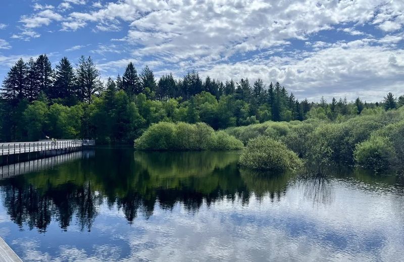 Morvan Forest Trails