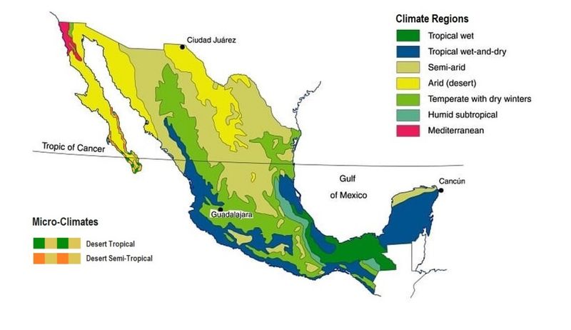 Consider Regional Weather