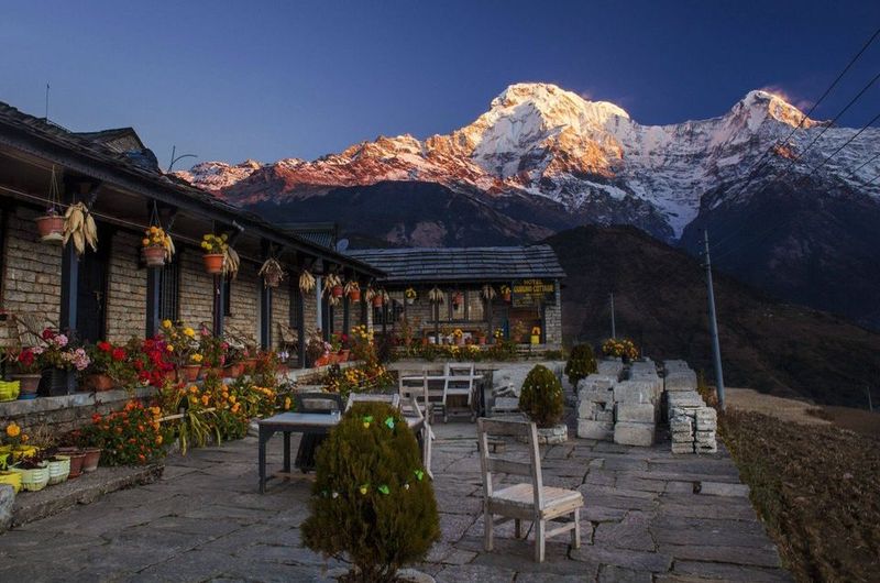 BONUS: The Himalayan Tea Houses of Nepal
