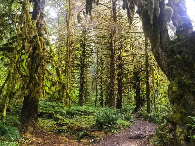 Olympic National Park, Washington