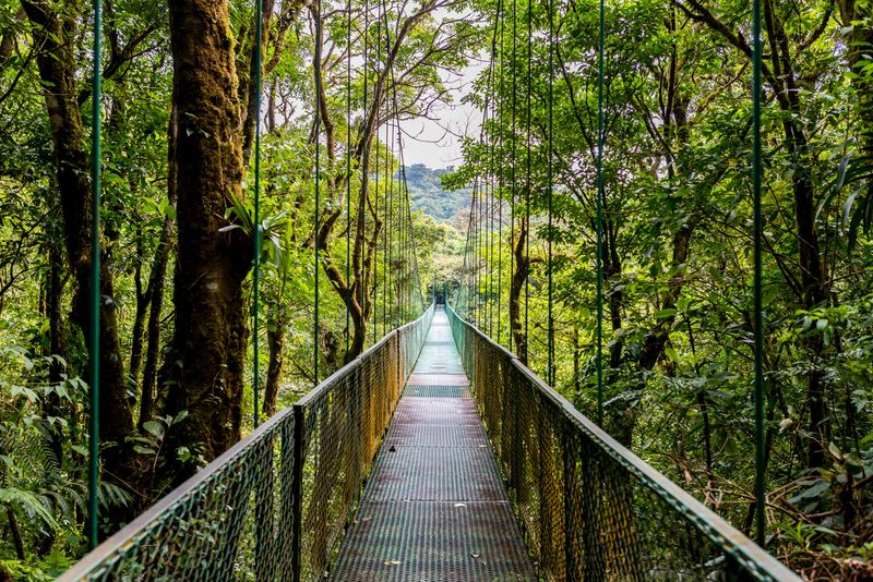 Costa Rica's Eco-Adventure Haven