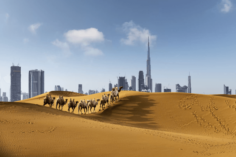 Dubai, UAE
