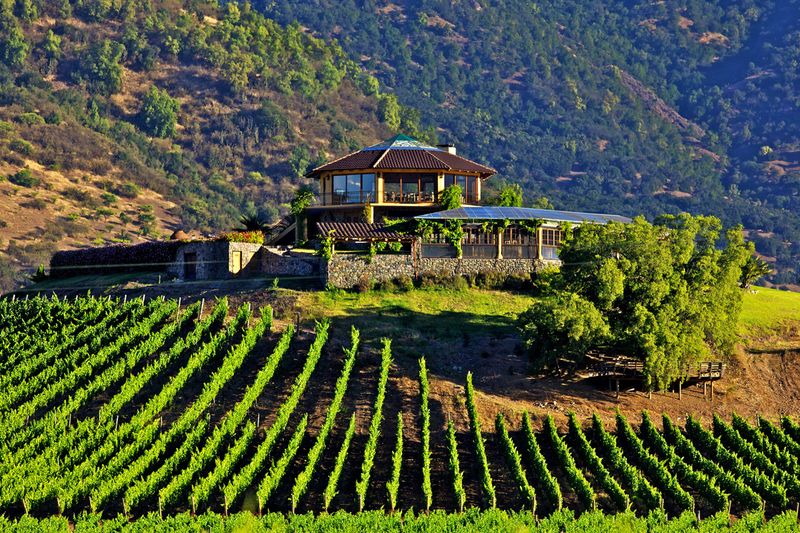 Colchagua Valley, Chile