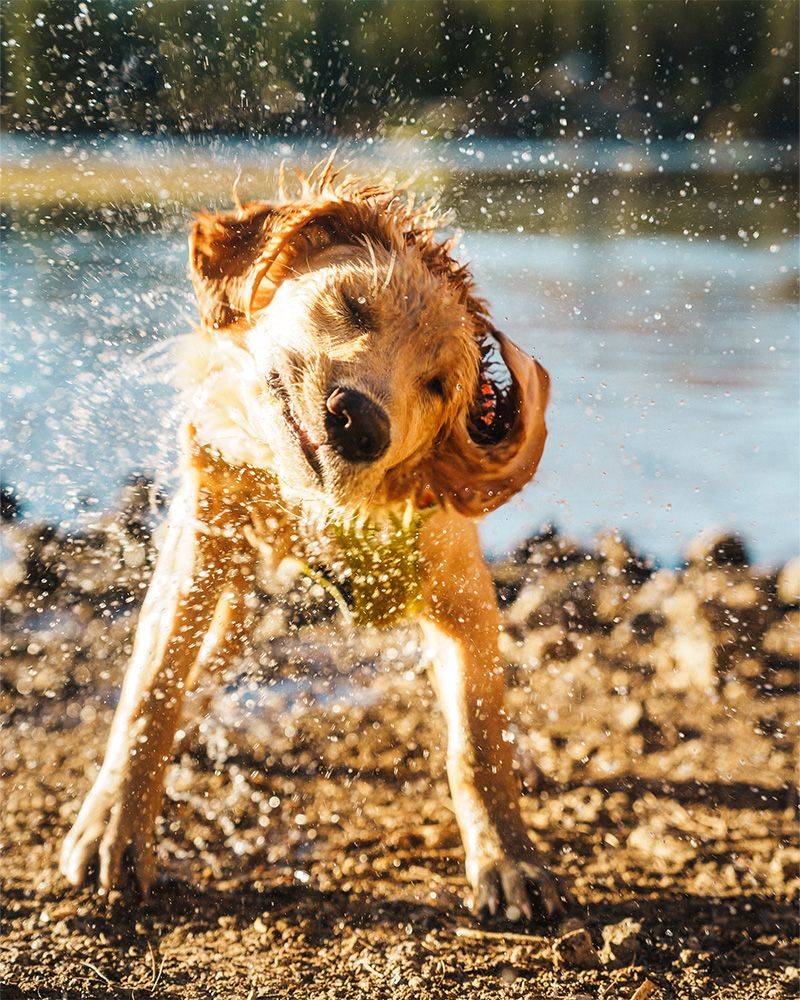 Bend, OR – Off-leash river trails