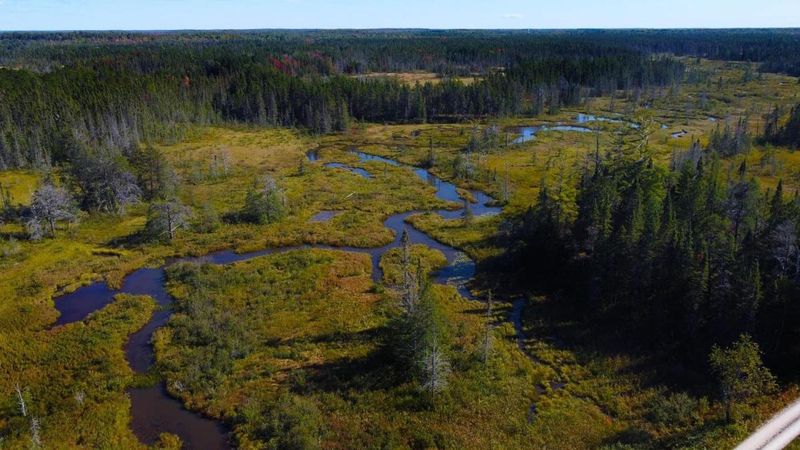 Germfask: Wilderness Gateway Hideaway