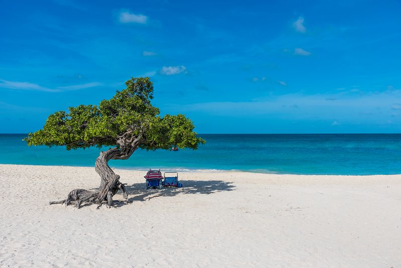 Aruba's Desert-Meets-Ocean Wonder