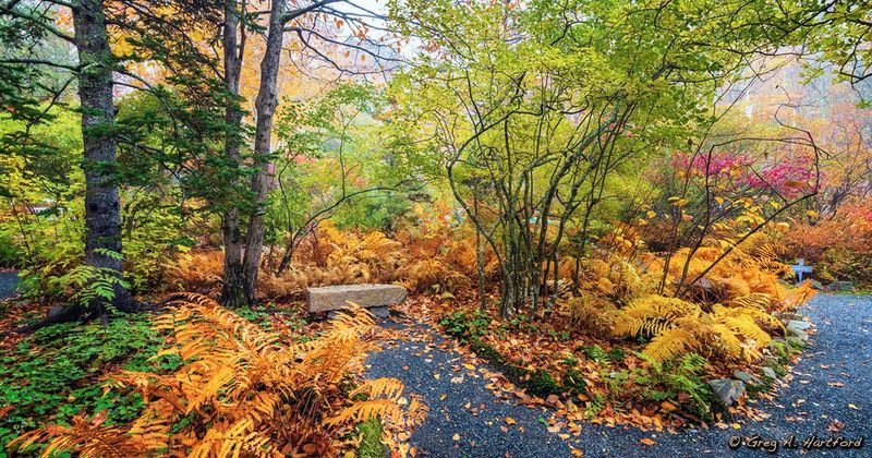 Wild Gardens of Acadia