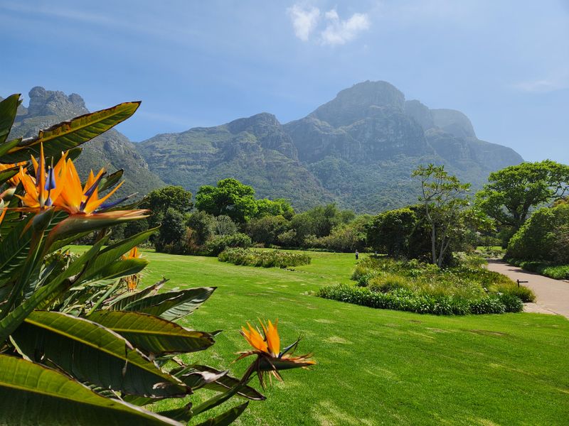 Kirstenbosch National Botanical Garden – Cape Town, South Africa