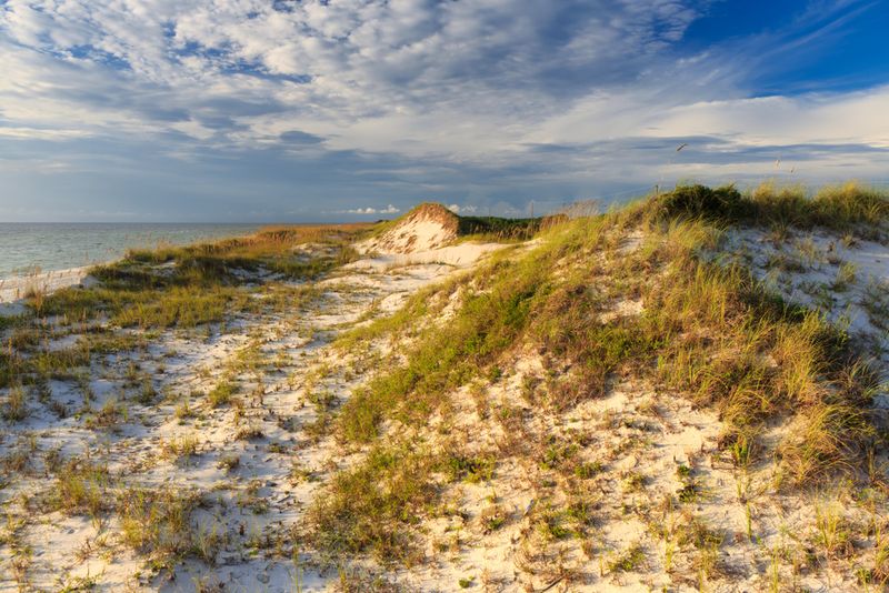 Disappearing and Reappearing Beaches