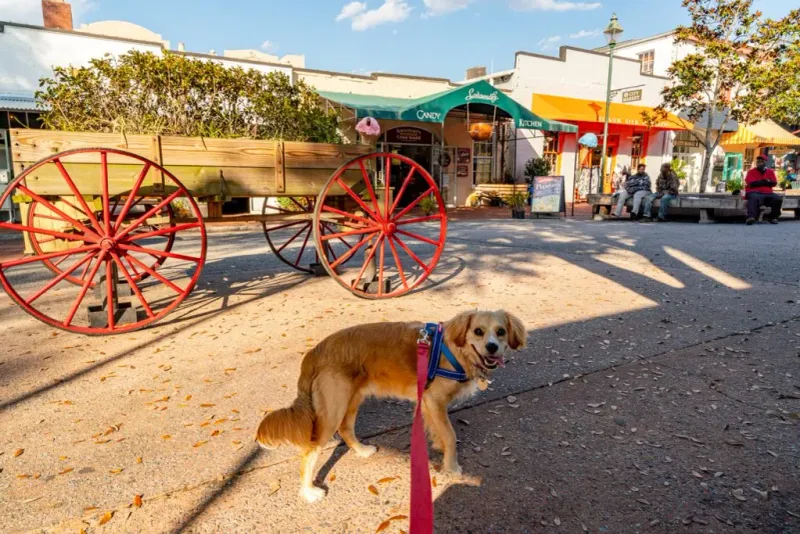 Savannah, GA – Walkable historic streets