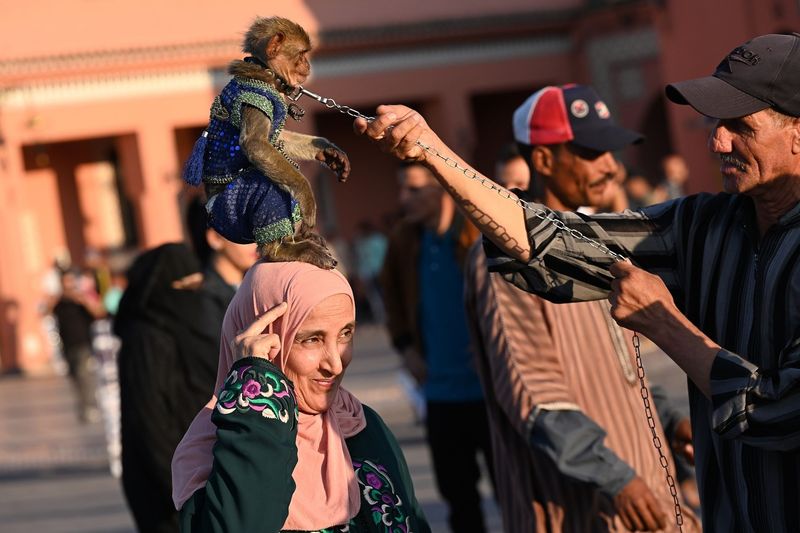 Marrakech's Aggressive Touts