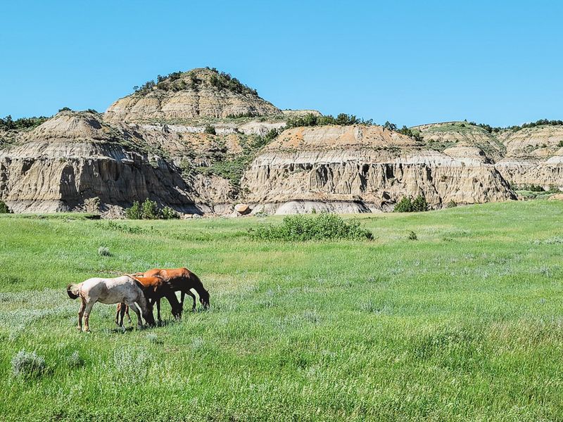 Theodore Roosevelt National Park Instead of Badlands