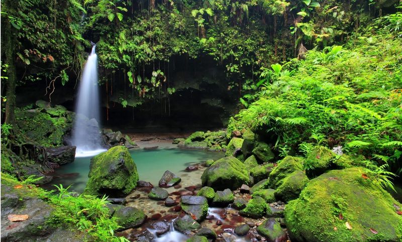 Dominica