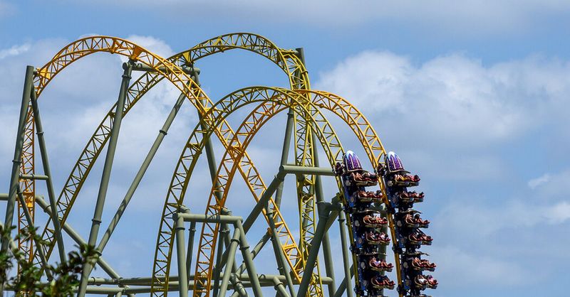 Attempting To Sneak Peeks At Park Rides From Outside Gates