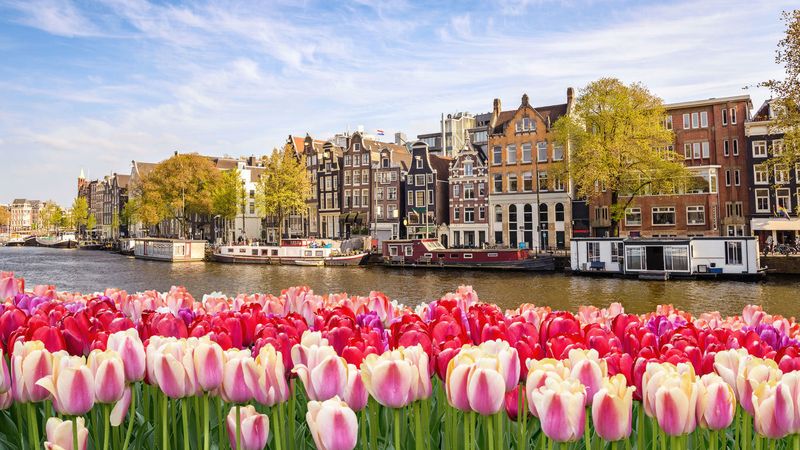 Amsterdam, Netherlands