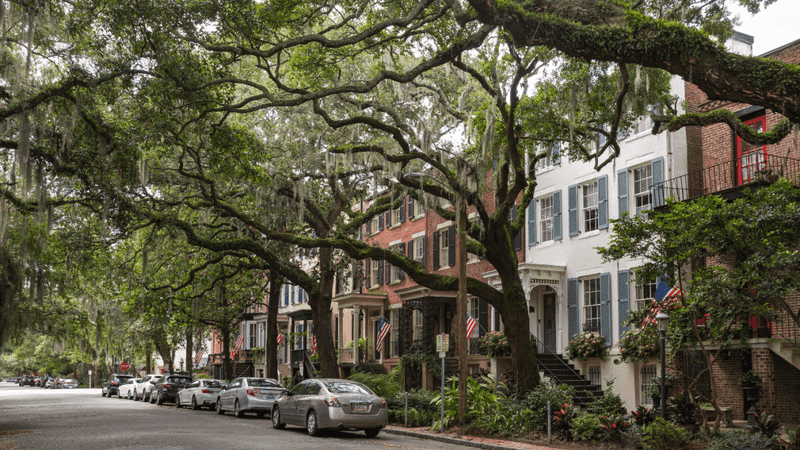 Savannah, Georgia: Wrapped in Warmth