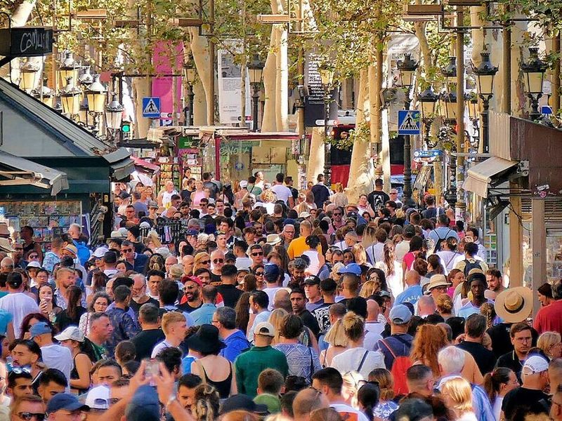 Petition Scam – Barcelona