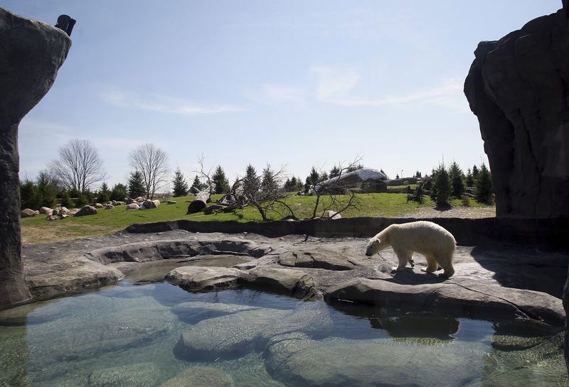 Columbus Zoo And Aquarium – Powell, Ohio