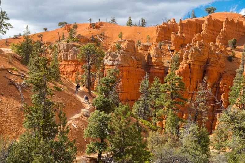 Red Canyon