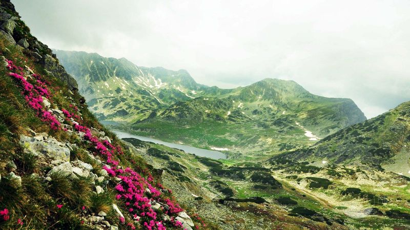 Retezat National Park: Hiker's Paradise