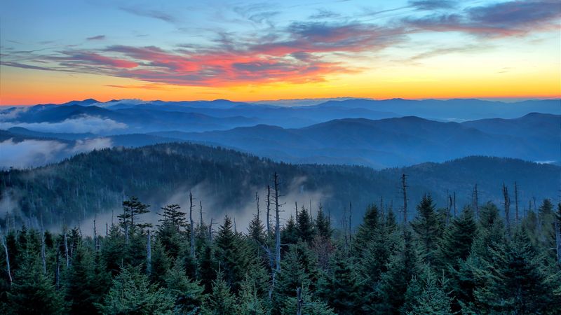 Carolina Panthers – Great Smoky Mountains, NC
