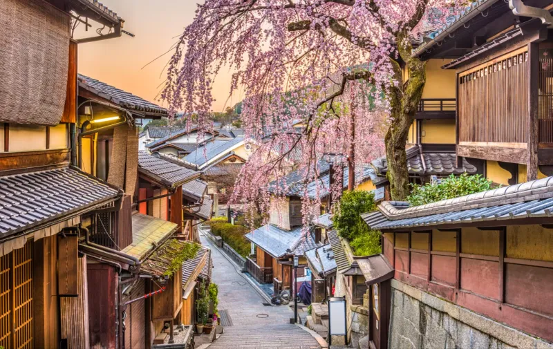 Japan Cultural Harmony (Safer Alternative)
