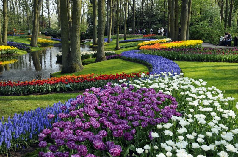 Keukenhof Gardens – Lisse, Netherlands