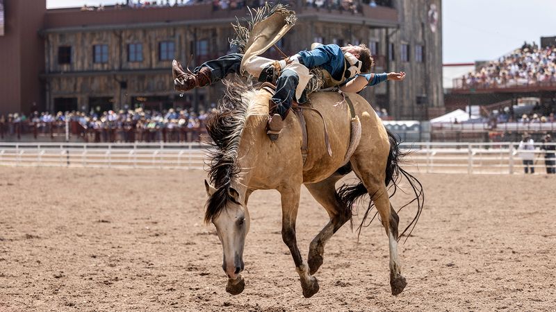Rodeos in Wyoming