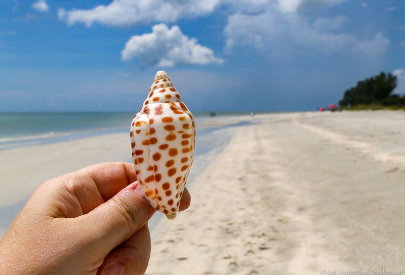 Sanibel Island: Shell-Seeker's Paradise