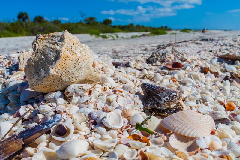 Sanibel Island