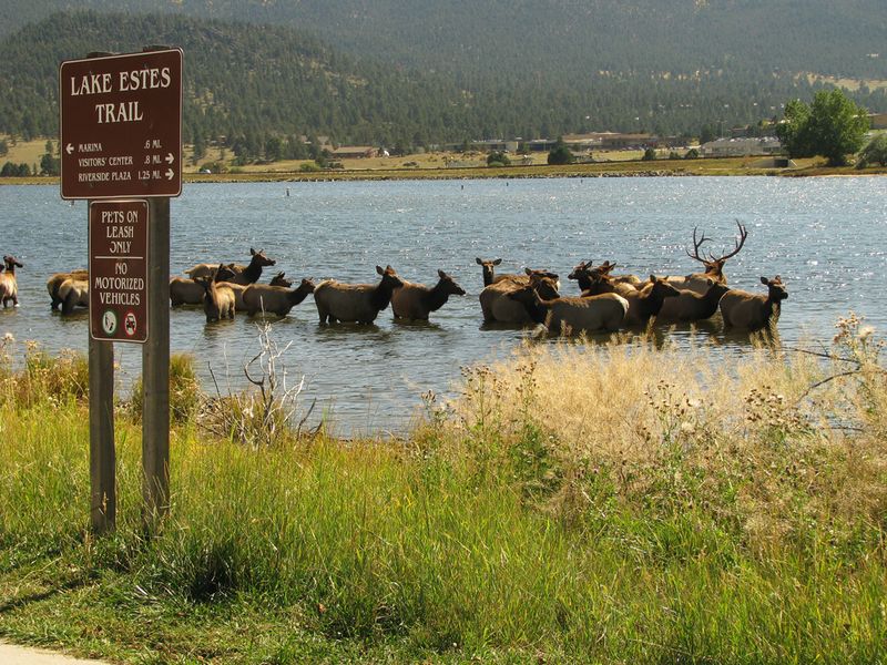 Colorado, Rocky Mountain National Park