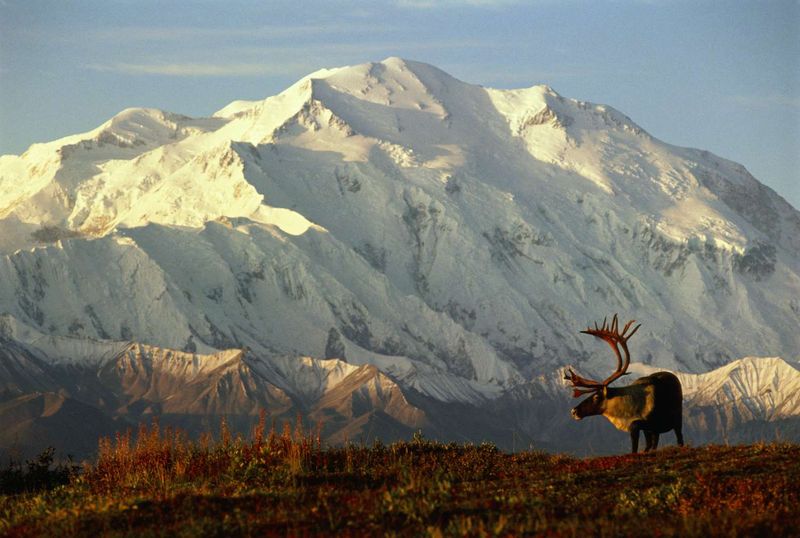 Alaska's Untamed Wilderness