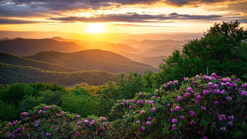 Asheville, NC: Mountain Magic in Spring