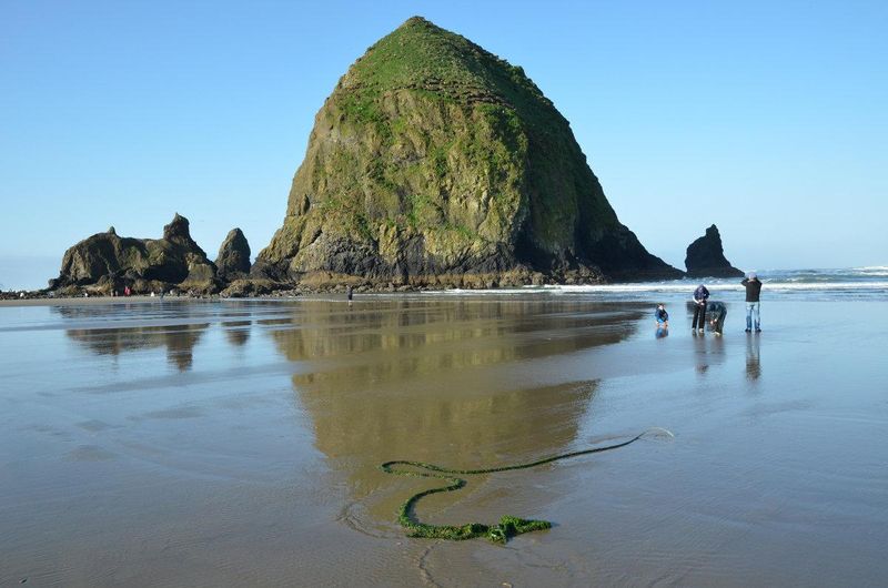 Cannon Beach, Oregon