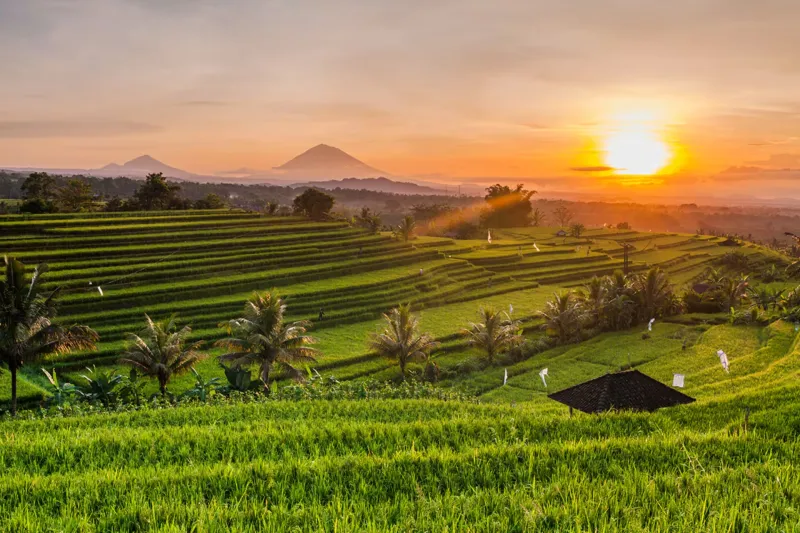 Bali, Indonesia: More Than Just Instagram Hype
