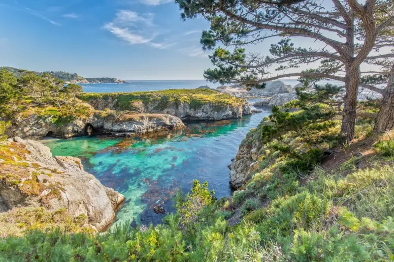 Point Lobos State Natural Reserve