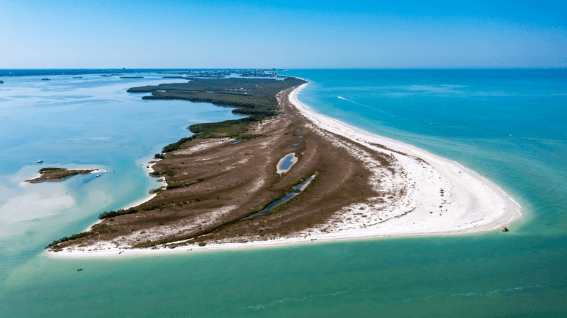 Caladesi Island State Park: Untouched Coastal Wilderness