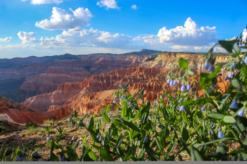 Cedar Breaks National Monument